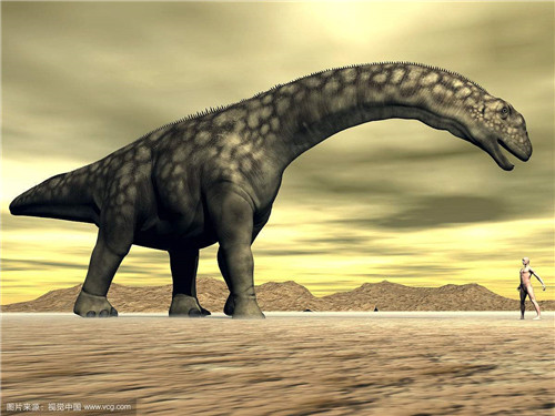 盘点地球上已经灭绝的史前巨兽，除了恐龙其它的你都没听过