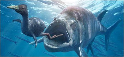 奇趣人生网 奇异生物 二叠纪最巨型的海洋生物为旋齿鲨,旋齿鲨类
