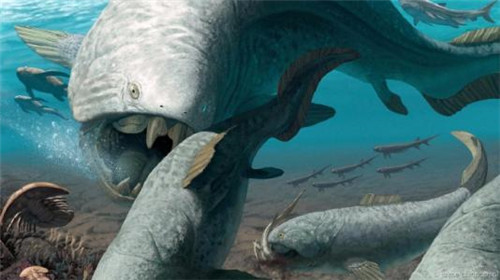 史前最恐怖的五种鱼类 巨齿鲨一口就能吞掉霸王龙
