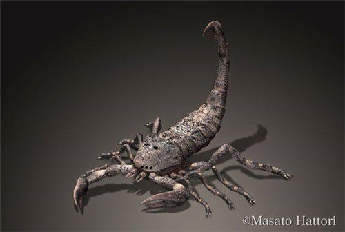 布龙度蝎子：曾经的霸主，体长3米，恐龙都不是它的对手