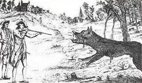 驴头狼：一种驴头狼身吃人的怪物，在神农架多次被人发现