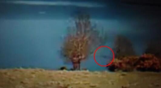 尼斯湖水怪现身10分钟被游客拍到，官方证实视频是真的！
