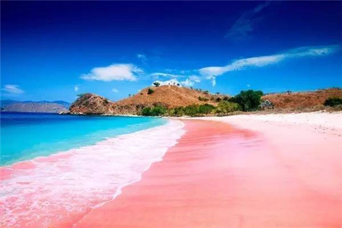 粉色沙滩在哪里，是哪个国家的？揭秘沙滩是粉色的原因
