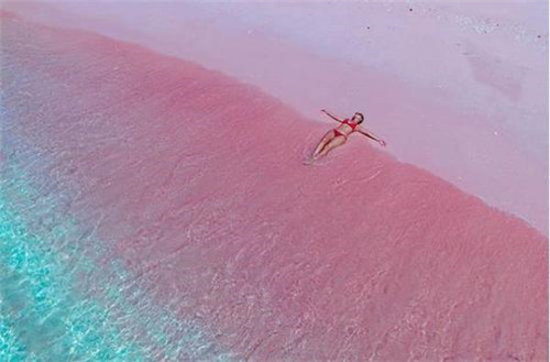粉色沙滩在哪里，是哪个国家的？揭秘沙滩是粉色的原因