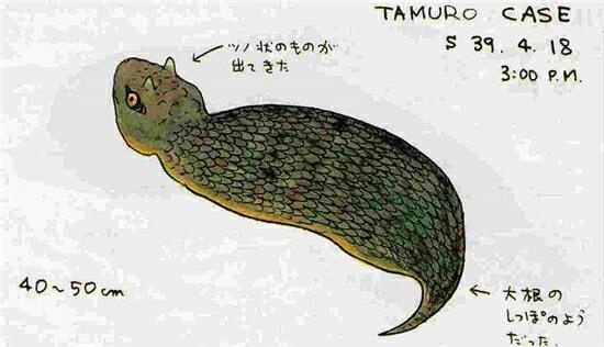 幻之蛇：日本传说中的神秘生物，类似中国传说中龙的地位