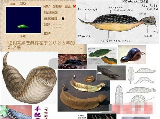 幻之蛇：日本传说中的神秘生物，类似中国传说中龙的地位