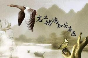 燕雀安知鸿鹄之志哉是什么意思，燕雀怎能知道鸿鹄的志向