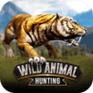 野生动物狩猎2020