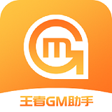 王者GM助手app