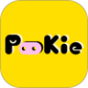 Pookie扑奇潮玩盲盒