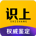 识上鉴定官方版