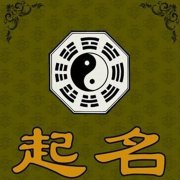 紫辰名字的含义是什么?