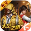 美化包和平精英炽羽金尊