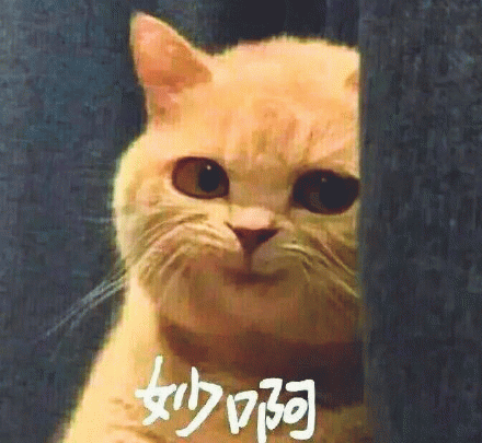这款手游让我体验到了三国中的乱世沉浮!
