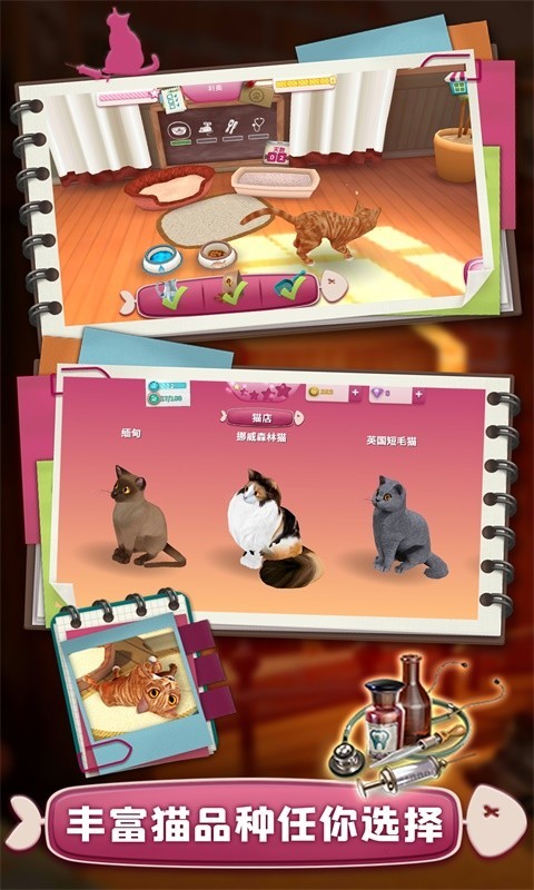 撸猫模拟器截图2
