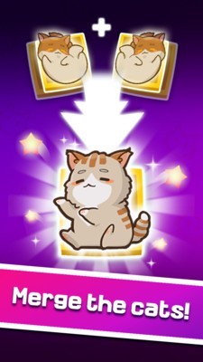 猫主子的日常截图1