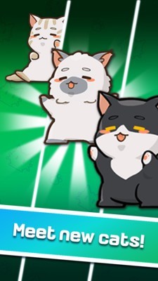 猫主子的日常截图2