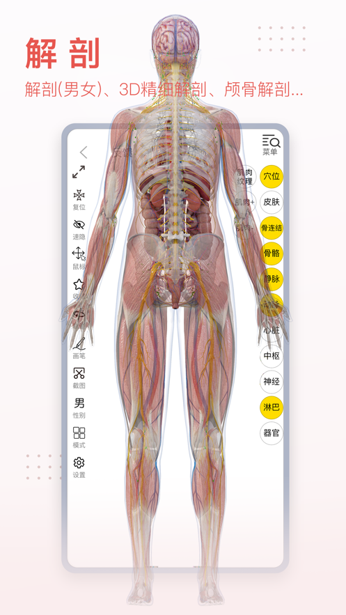 3Dbody解剖学app截图1