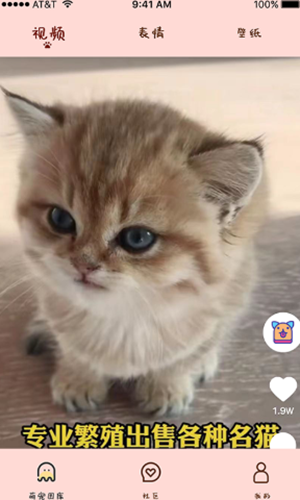 喵喵撸猫app截图1