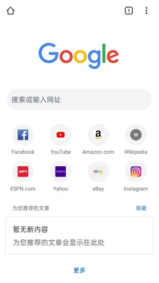 谷歌浏览器手机版截图3