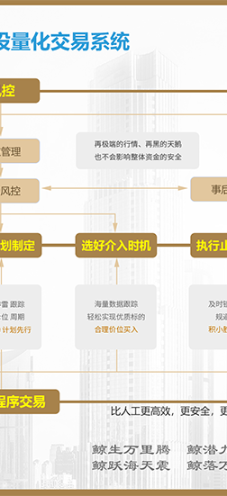 大虎鲸ai智投截图3