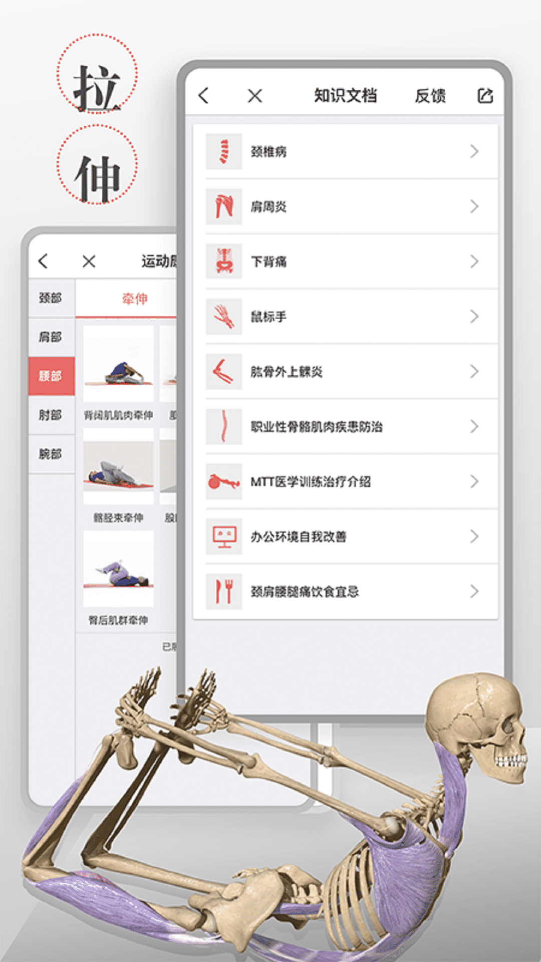 3D运动健康截图1