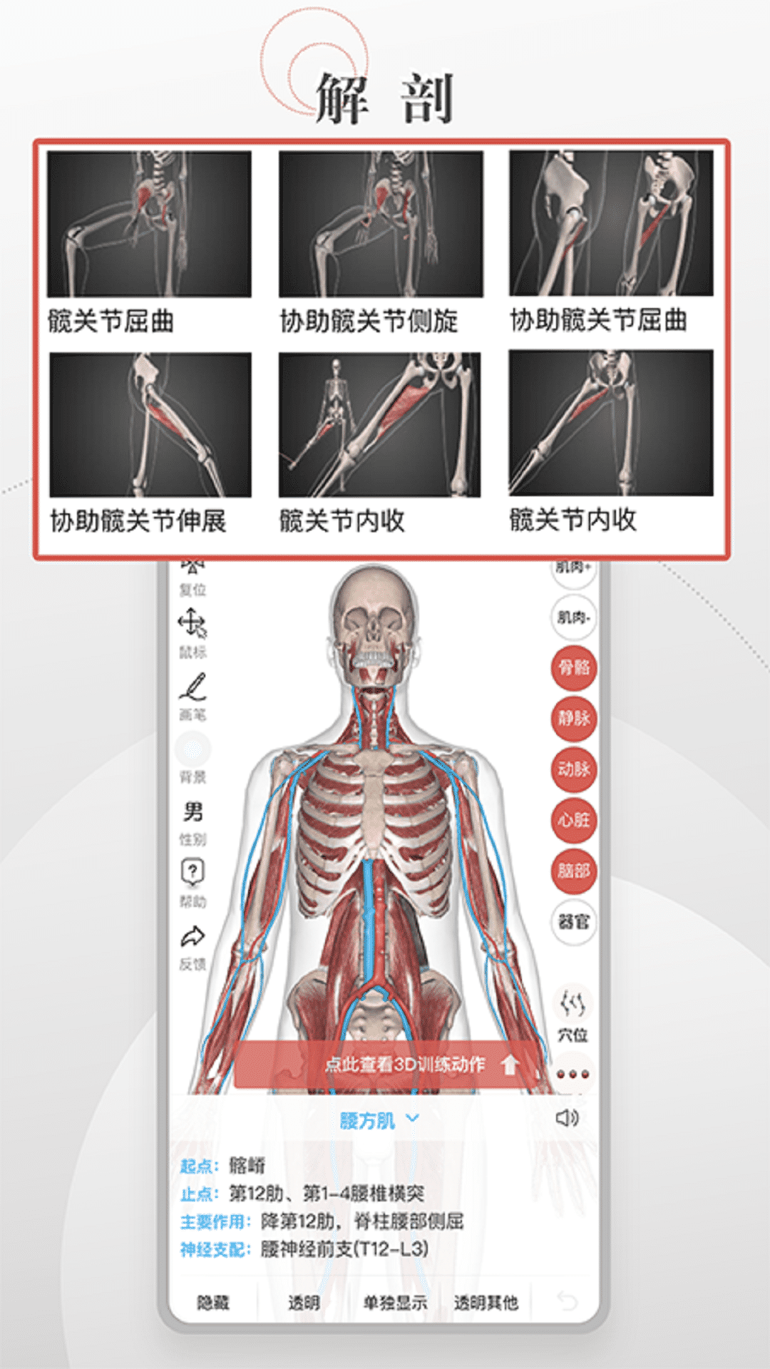 3D运动健康截图2